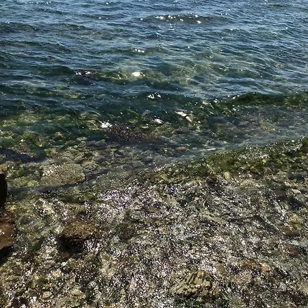 Meerblick Appartamento *